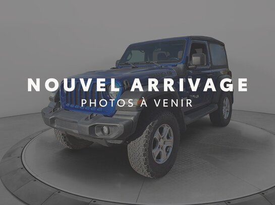 Jeep Wrangler 2020 2020 Bleu